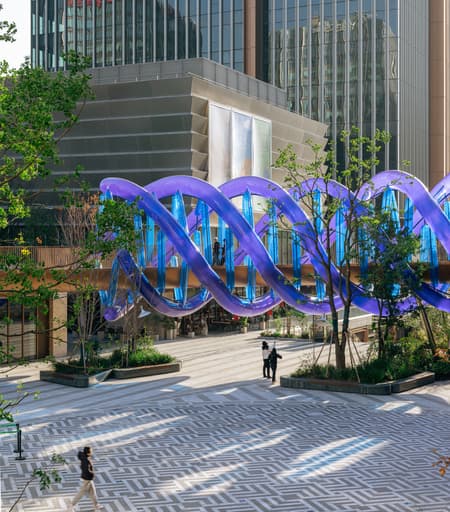 Light Vortex Bridge